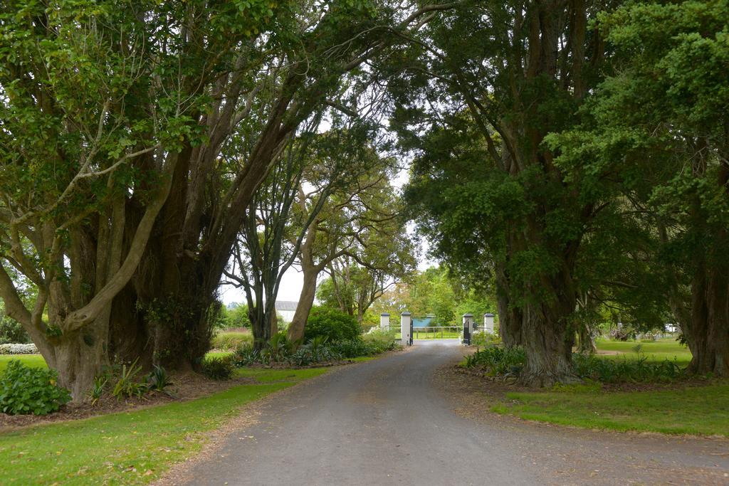 Lavalla Estate Guest House Tuakau Exterior foto